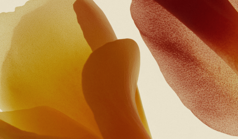 What Does Natural Flavour Really Mean? - Nuzest UK
