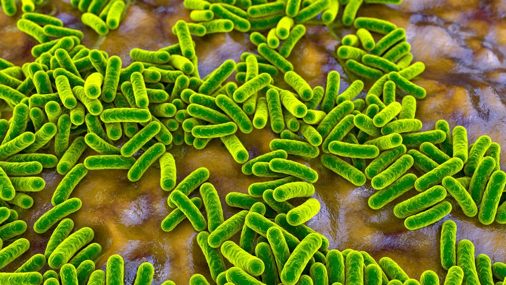 Trusting your gut - understanding the link between gut health & nutrition - Nuzest UK