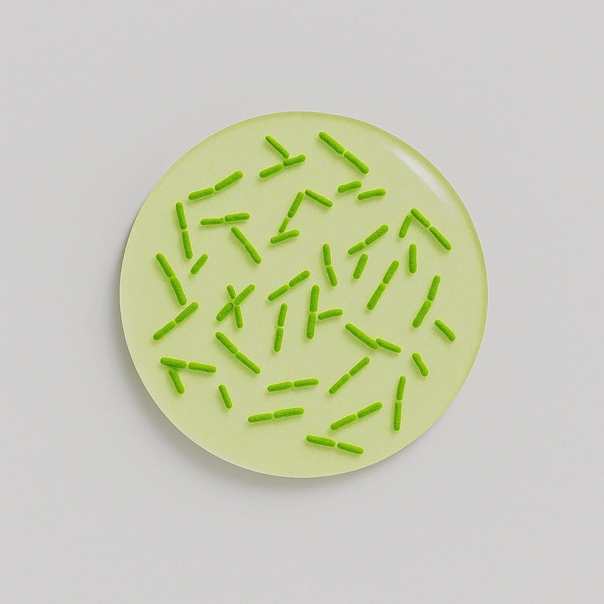 Bifidobacterium bifidum - Nuzest UK