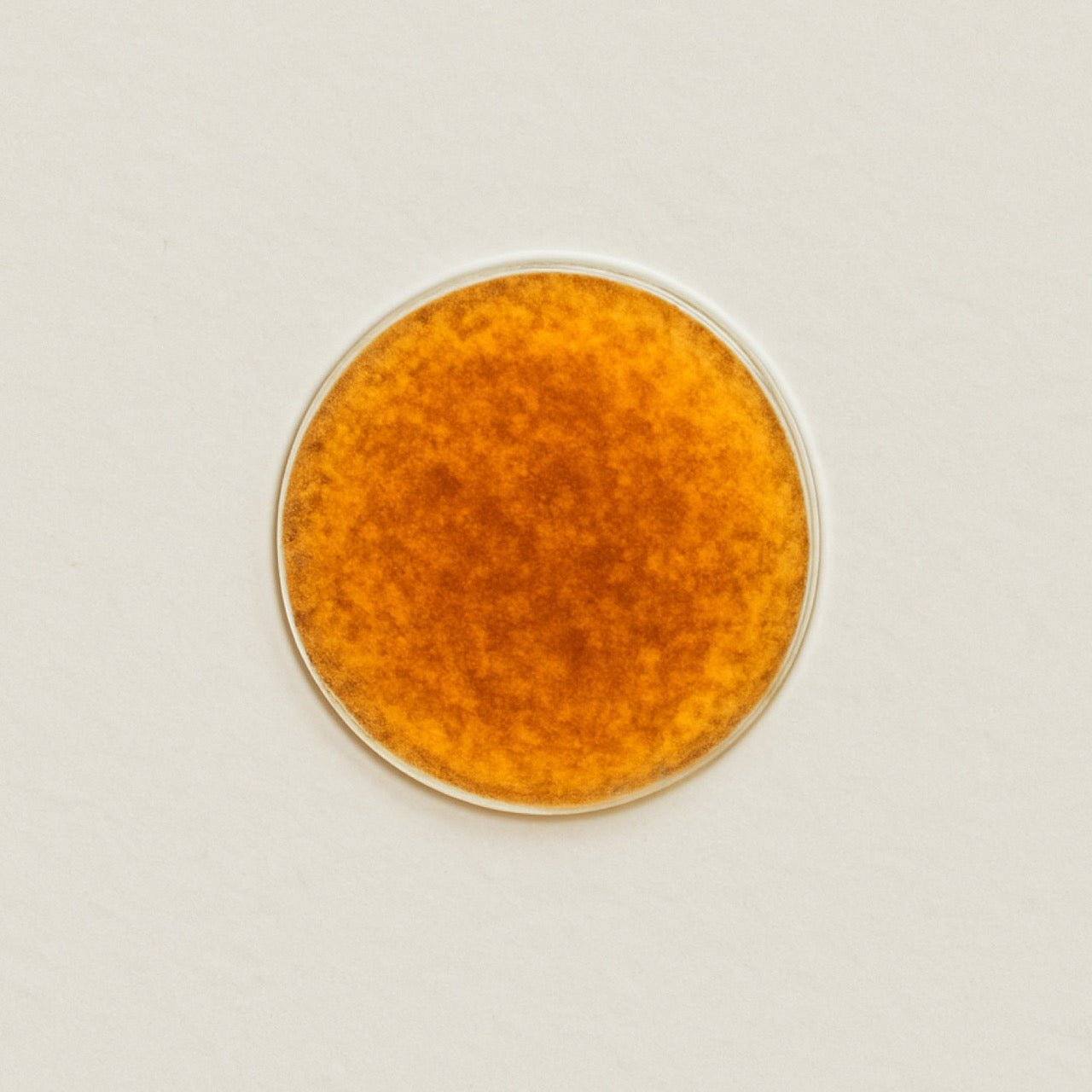 Dunaliella salina - Nuzest UK