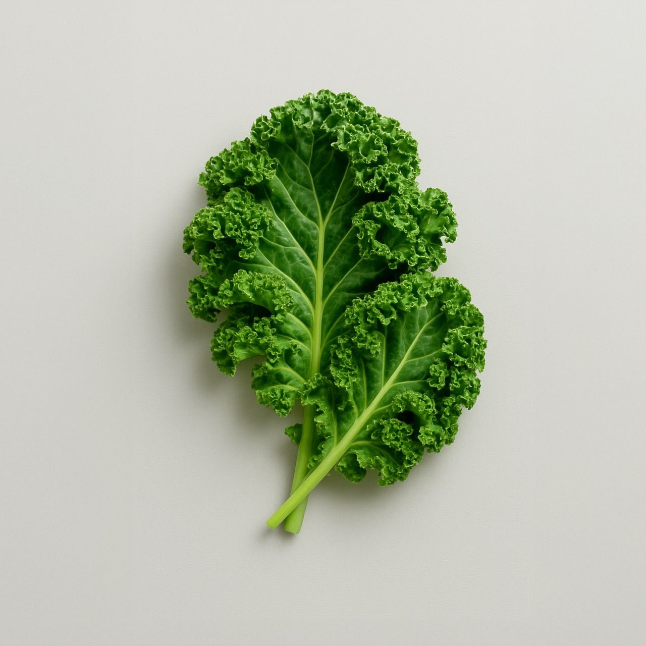 Kale - Nuzest UK