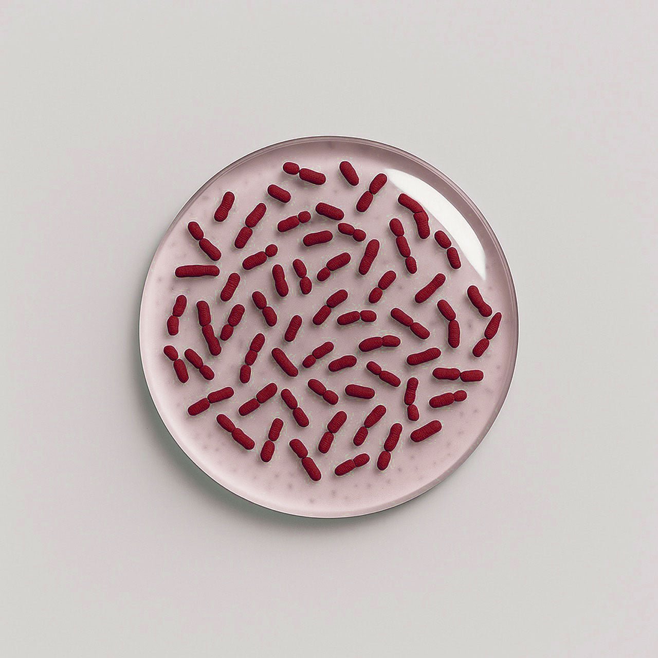Bacillus coagulans - Nuzest UK