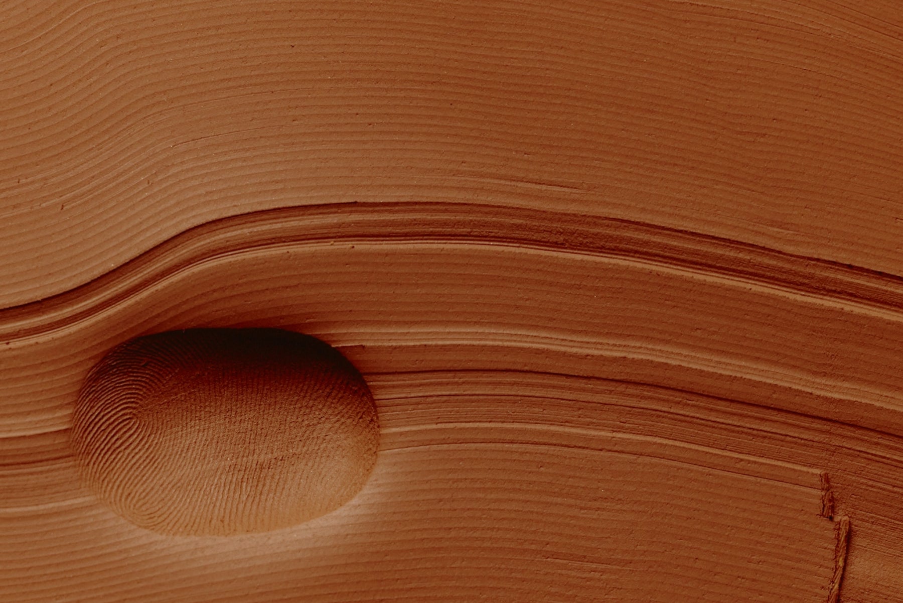 Stress, Hormones and Digestion: Understanding Everyday Interactions