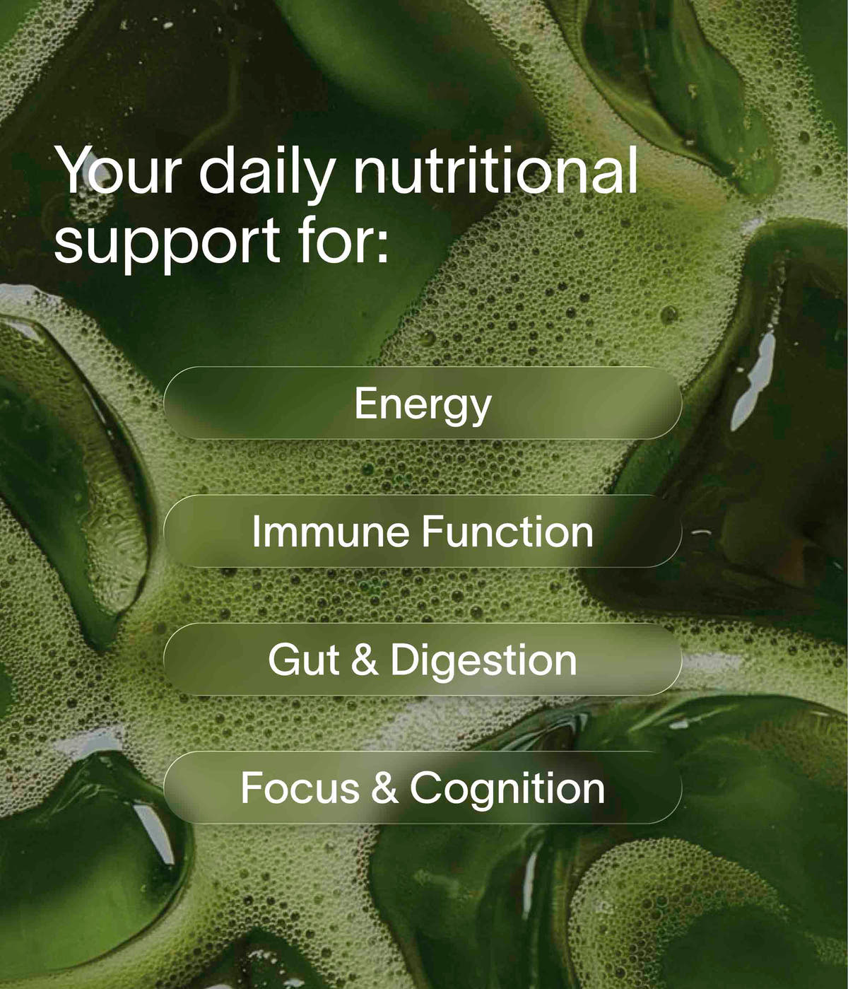 Nuzest - Good Green Vitality 750g Subscription - 750g (75 Servings) 3